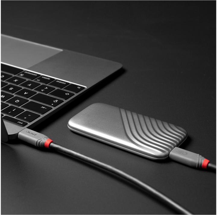 Image du produit Lindy 36958 Câble USB 2 m USB4 Gen 3x2 USB C Noir (2 m, USB 4.0, 240 W)