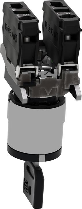 Actual product image Schneider Electric Key switch XB4-BG03