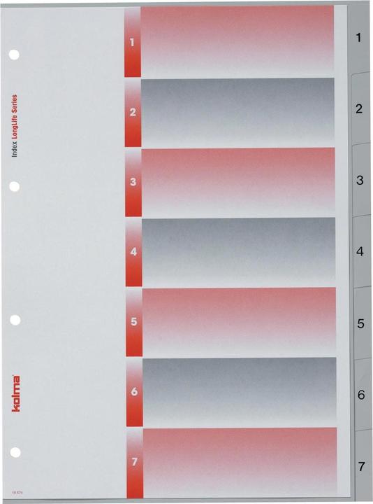Immagine prodotto Kolma Registro A4 superstrong 1-7 7 pezzi grigio