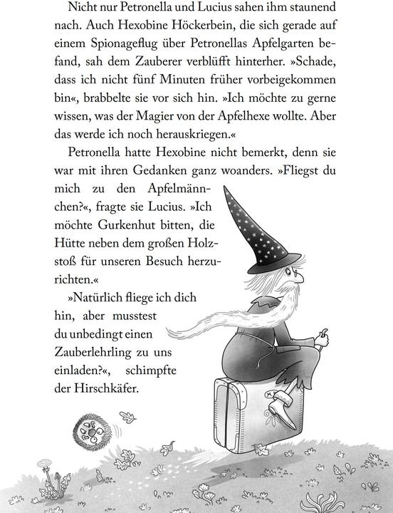 Produktbild Petronella Apfelmus - Zauberei und Eulenschrei (Band 12) (Deutsch, Sabine Büchner, Sabine Städing, 2024)