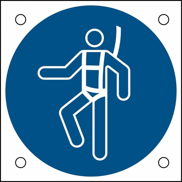 Actual product image Brady ISO safety sign - Use safety harness