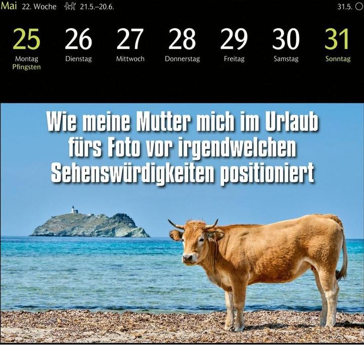 Actual product image Harenberg Animal Memes Postkartenkalender 2026 - 53 tierisch witzige Postkarten (Hardcover, English, German)