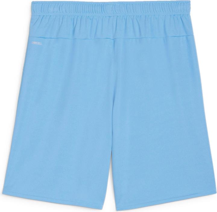 Produktbild Puma teamGOAL Shorts (S)