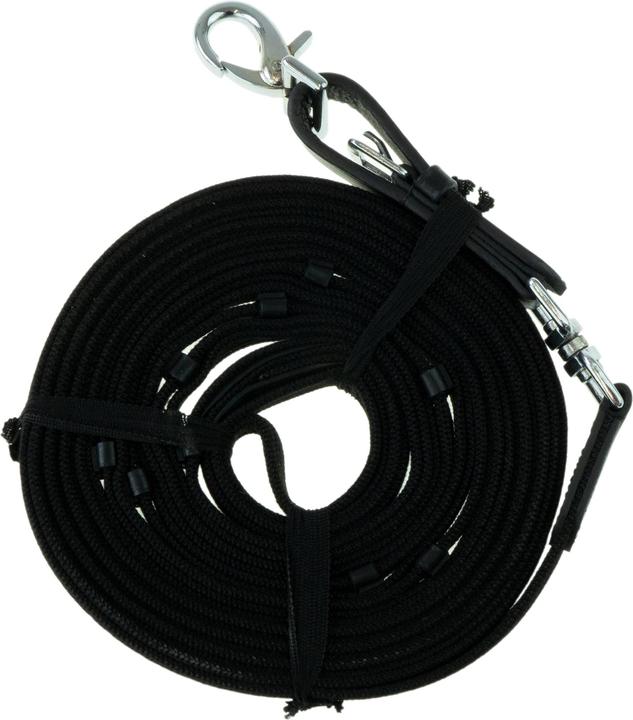 Waldhausen Laisse de longe sangle