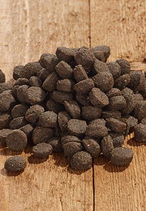 Produktbild Vet Concept Cat Sana Pferd - 1,5 kg