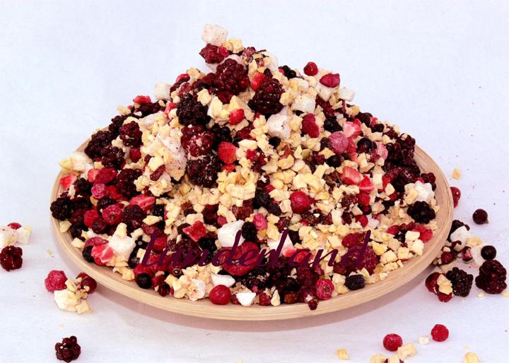 Image du produit Lunderland Mélange de fruits Aliments complémentaires (Senior, Adulte, Junior, 1 pcs, 125 g)