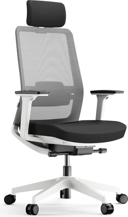Actual product image Yaasa Chair Pro