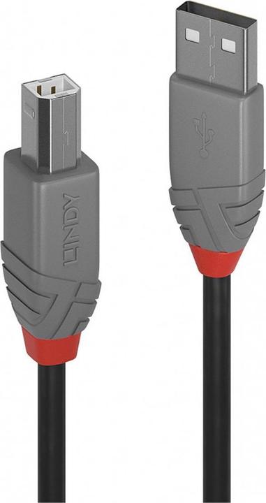 Lindy USB/A-USB/B M-M (2 m, USB 2.0)
