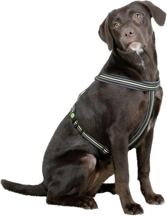 Produktbild Kerbl Geschirr (Hund)