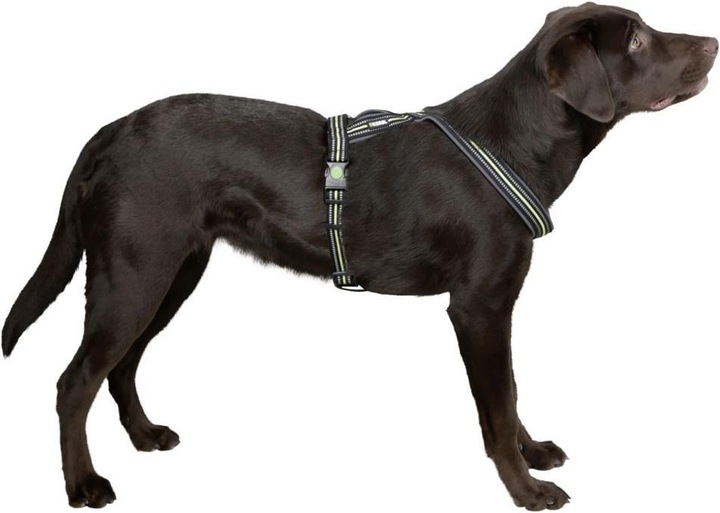 Immagine prodotto Kerbl Pettorina (Cane)
