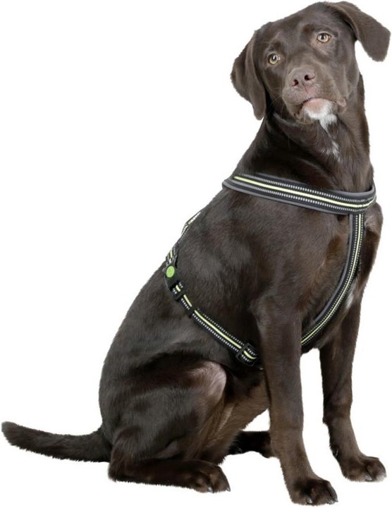 Immagine prodotto Kerbl Pettorina (Cane)
