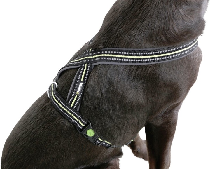 Immagine prodotto Kerbl Pettorina (Cane)