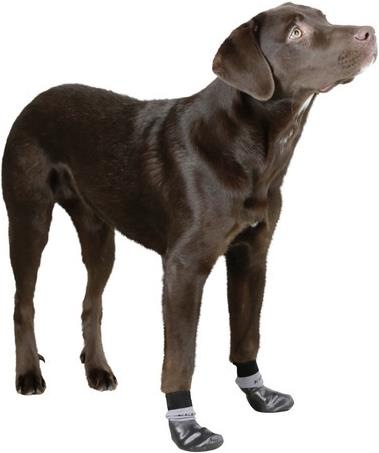 Immagine prodotto Kerbl Susi calzino per cani (M, Calzini per cani)