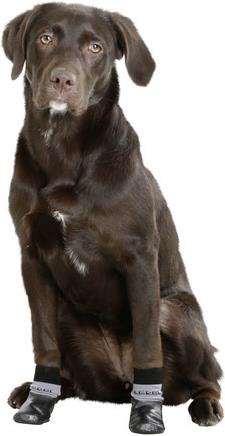 Immagine prodotto Kerbl Susi calzino per cani (M, Calzini per cani)
