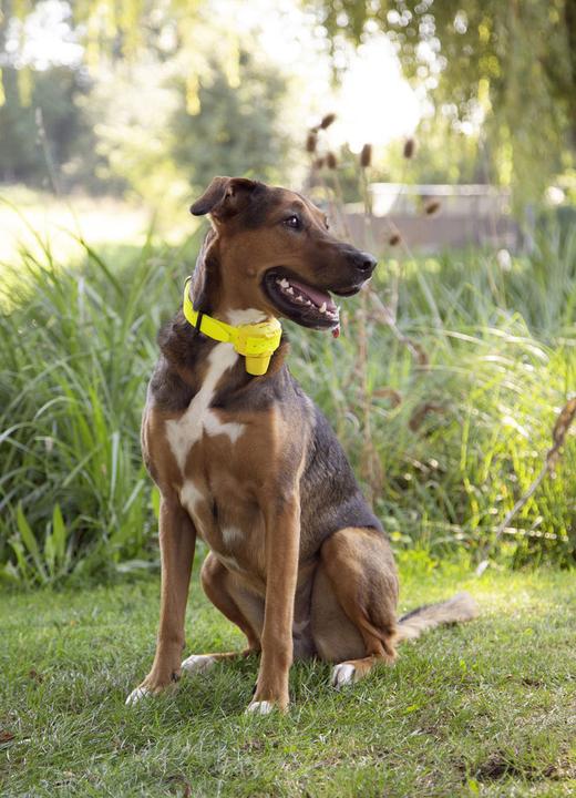 Produktbild Kerbl NUM'axes Canibeep Pro Akkustisches Ortungsgerät,gelb (One Size, Hund, Hundesport)