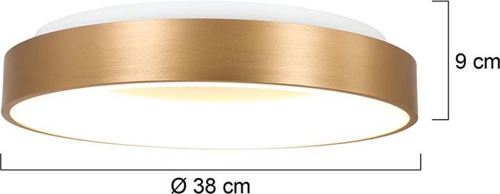 Image du produit Steinhauer Ringlede (28 lm)