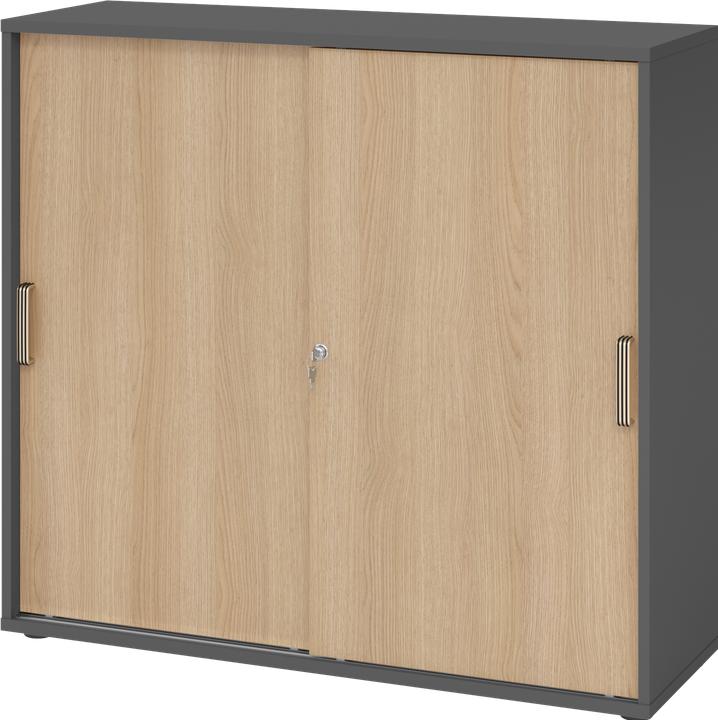 Hammerbacher Schiebetürschrank 3OH 120cm SG Graphit/Eiche (120 x 40 x 110 cm)