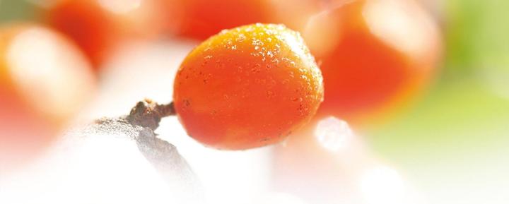 Actual product image Weleda Sea Buckthorn (200 ml)