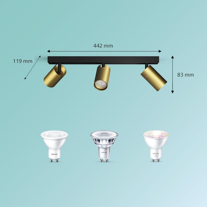 Produktbild Philips Idris (GU10)