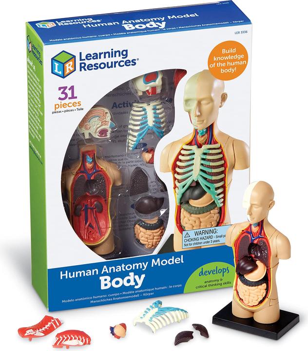 Produktbild Learning Resources LER3336 Anatomie-Modell Körper
