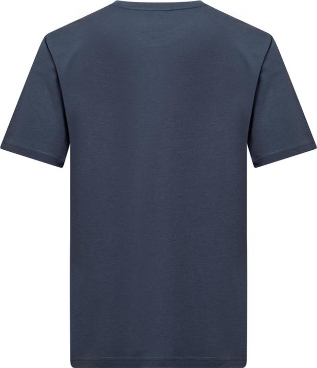 Actual product image Salewa Eagle 3Cime T-Shirt M (M)