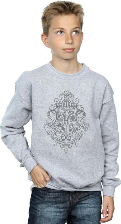 Produktbild Hogwarts Draco Dormiens Crest Sweatshirt Jungen (116)