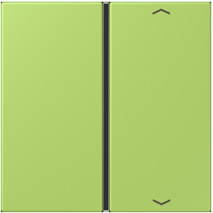 Actual product image JUNG Key