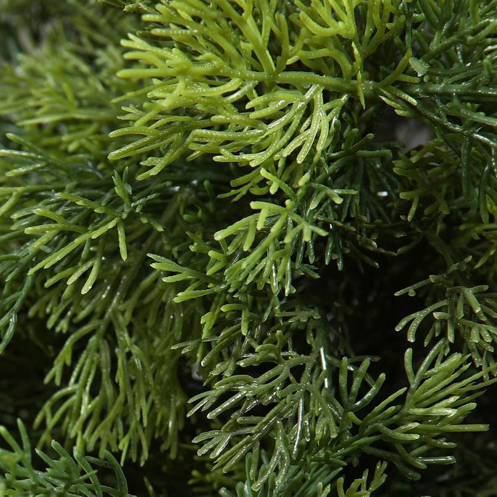 Produktbild Crosofmi Zedernbäume (125 cm)