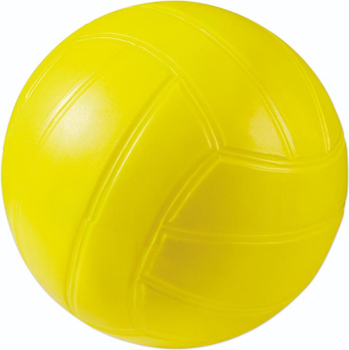 Actual product image Rs Toys PALLA VOLLEY 14 CM 80 GR. 5 COLOURI GONFIA