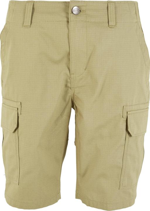 Actual product image Dickies Millerville Shorts (30)