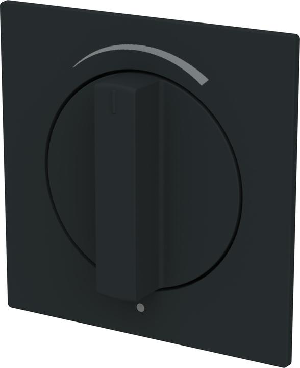 Produktbild Busch-Jaeger Zentralscheibe