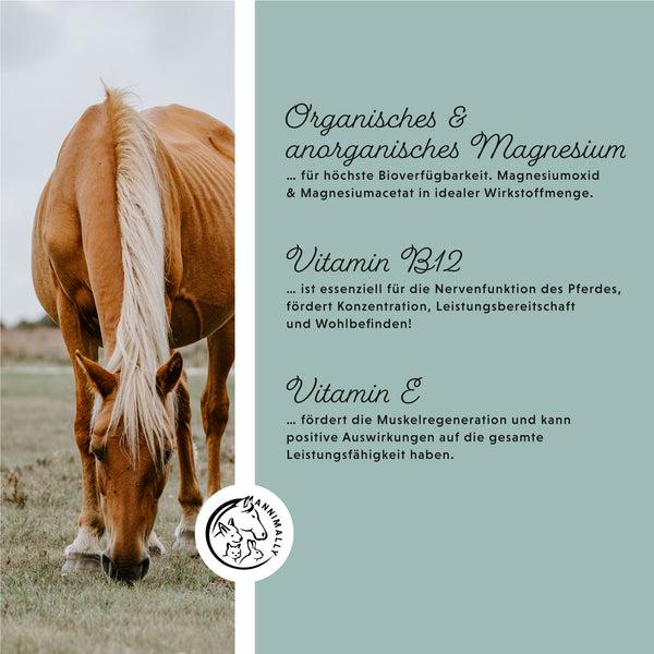 Produktbild Annimally Magnesium Pellets (1000 g)