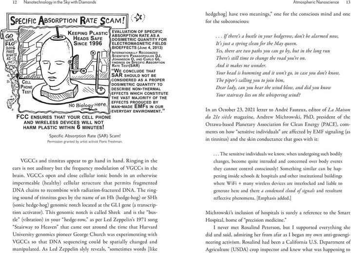 Actual product image The Geoengineered Transhuman (English, Elana Freeland, 2025)