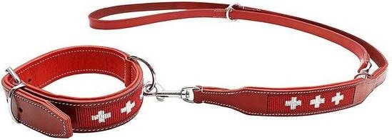 Collar + Leashes