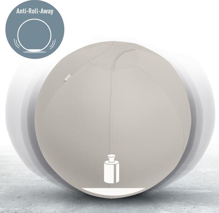 Actual product image Leitz Ergo Active sitting ball (55 cm)