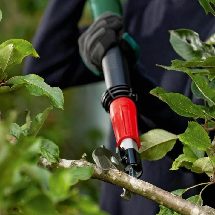 Produktbild Bosch Home & Garden AdvancedPrune