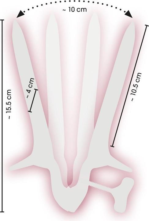 Actual product image Sextreme Vaginal speculum