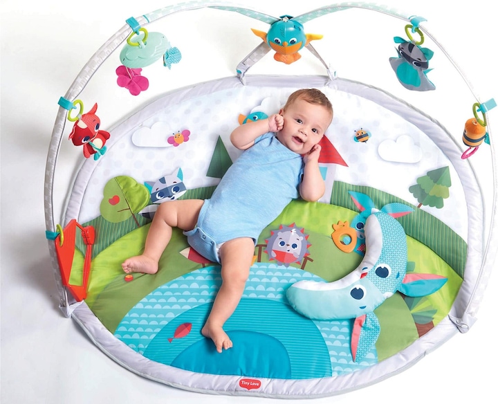 Produktbild Tiny Love Dynamic Gymini - Meadow Days