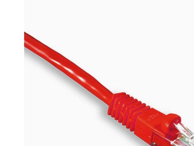 Image du produit Wirewin Câble de réseau (F/FTP, CAT6, 2 m)