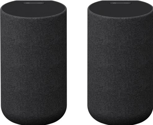 Immagine prodotto Sony SA-RS5 (1 coppia, 180 W)