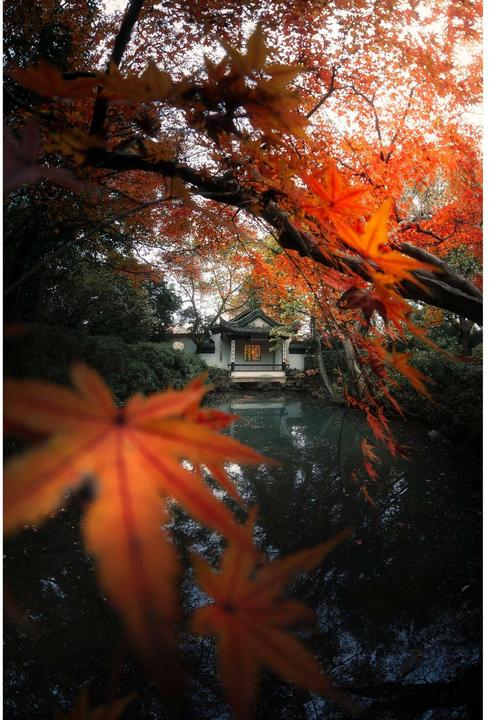 Produktbild 7artisans Festbrennweite 7.5mm F/2.8 Fisheye Mark II – Canon RF (Canon RF, APS-C / DX)