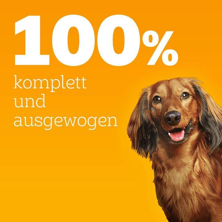 Image du produit Pedigree Senior en Gelée Multipack (Senior, 12 pcs, 1200 g)