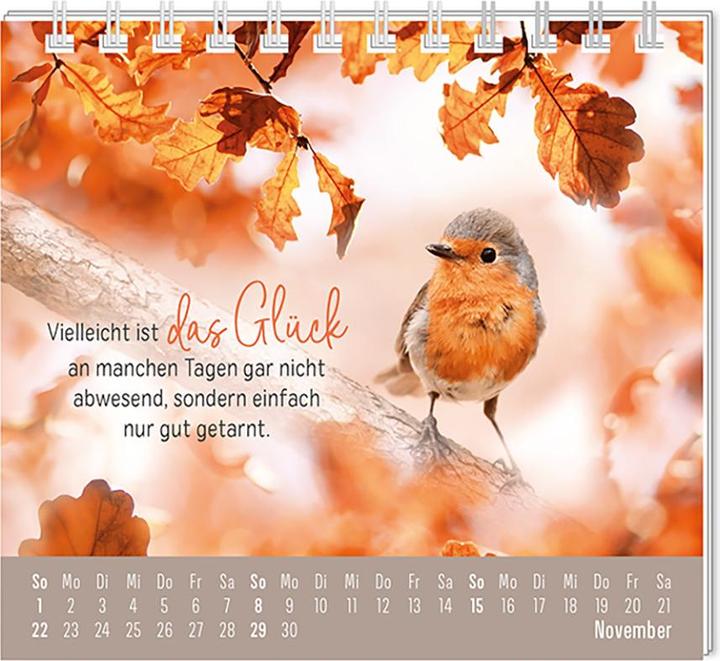 Produktbild Mini-Kalender 2026 Eine Extraportion Gl