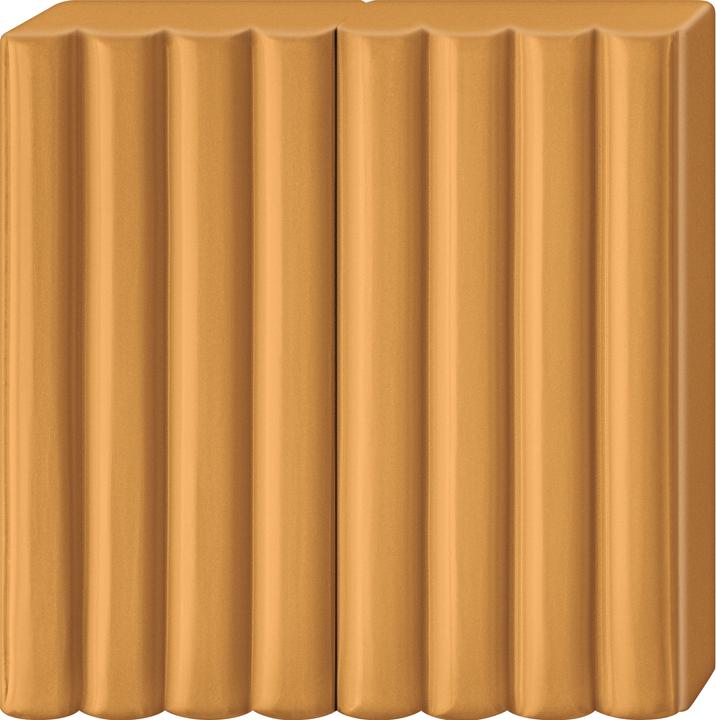 Actual product image Fimo Kids