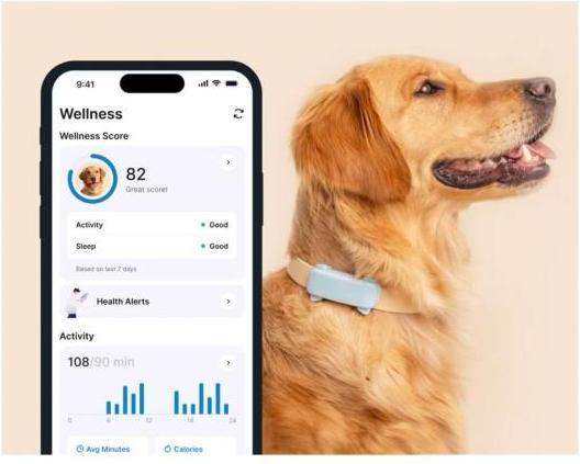 Immagine prodotto Tractive GPS Tracker Dog 6 (Cane)