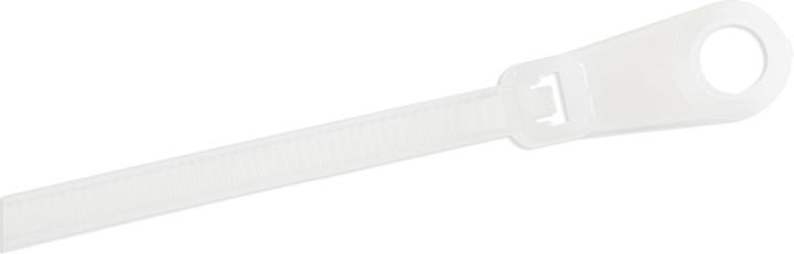 Actual product image StarTech 10cm(4") Cable Ties with Mounting Hole, 2mm(1/16") wide, 24mm(7/8") Bundle Dia. (Plastic cable ties, 3 mm, 100 pcs.)