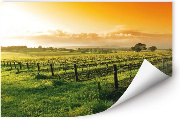 Image du produit Trenddeko Le vin au coucher du soleil (60 x 40 cm)