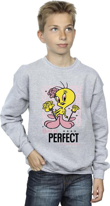 Image du produit Looney Tunes - Sweat YOU'RE PERFECT - Garçon (116)