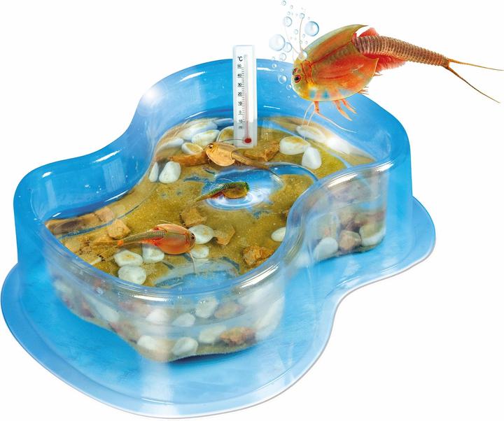 Actual product image Clementoni Science & Game Triops Grow