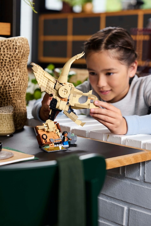 Immagine prodotto LEGO Jurassic World (76969, LEGO Jurassic World)